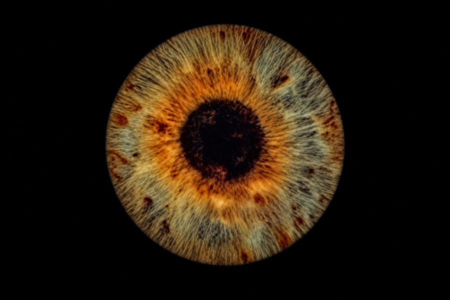 Iris noisette aux nuances vertes et orangées, rendu naturel sur fond noir